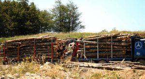 Penzioneri USK ogrijev će dobiti do 30. septembra
