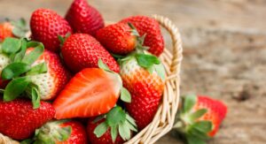 Jagode na balkonu mogu rađati od proljeća do jeseni