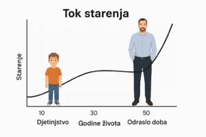 Nauka otkrila, tijelo počinje da slabi već oko 35. godine