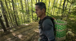 Kralj vrganja ne propušta prilike, zarađuje koliko hoće (VIDEO)