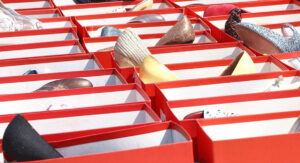 Kutije od cipela: Genijalni trikovi za organizaciju doma bez troškova