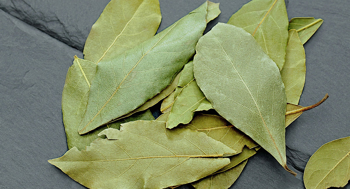 Domači sirup od lovora protiv upornog kašlja