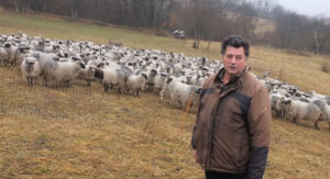 Porodica Marjanović: Sve što su stekli, duguju ovcama (VIDEO)