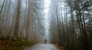 Da li i koliko usamljenost utiče na naše zdravlje?