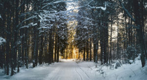 Sutra počinje zima i dan će najkraće trajati