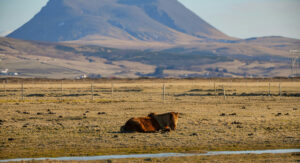 Pogledajte mjesta na kojima je svijet još uvijek neukroćen