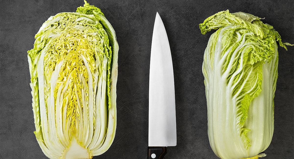 Endivija biljka koju su jele naše bake